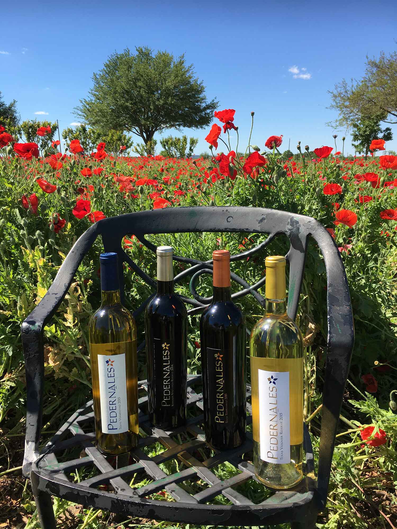 Poppies and four bottles of wine