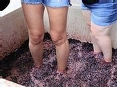 Grape Stomp legs and grapes